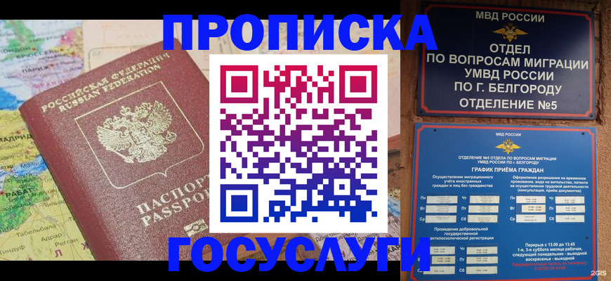 прописка регистрация в Шали